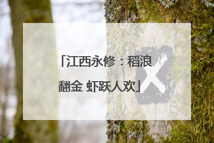 江西永修：稻浪翻金 虾跃人欢