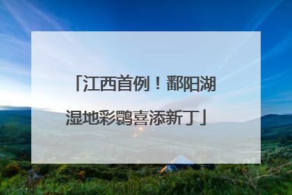 江西首例！鄱阳湖湿地彩鹮喜添新丁