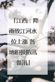 江西：降雨致江河水位上涨 各地积极防汛备汛