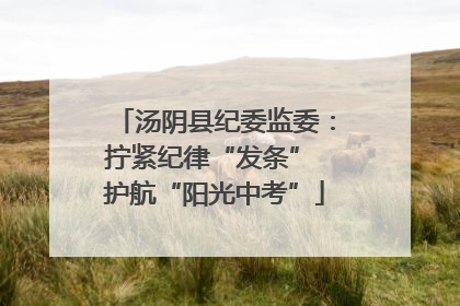 汤阴县纪委监委：拧紧纪律“发条” 护航“阳光中考”