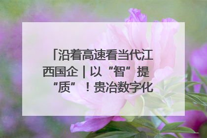 沿着高速看当代江西国企｜以“智”提“质”！贵冶数字化转型迈出新步伐