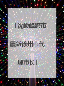 沈峻峰跨市履新徐州市代理市长