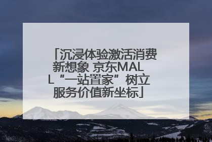 沉浸体验激活消费新想象 京东MALL“一站置家”树立服务价值新坐标