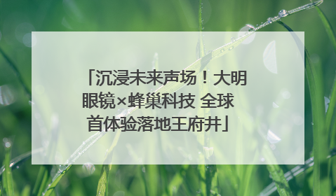 沉浸未来声场！大明眼镜×蜂巢科技 全球首体验落地王府井