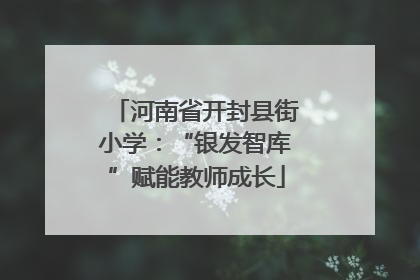 河南省开封县街小学：“银发智库”赋能教师成长