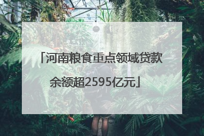 河南粮食重点领域贷款余额超2595亿元