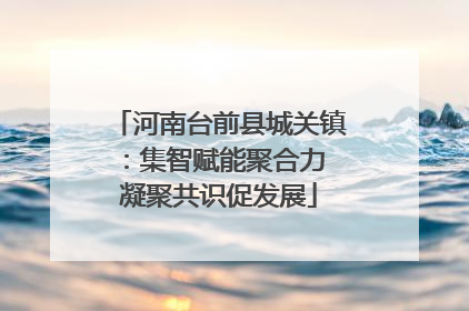 河南台前县城关镇：集智赋能聚合力 凝聚共识促发展