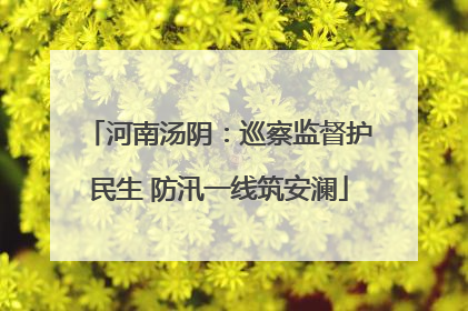 河南汤阴：巡察监督护民生 防汛一线筑安澜