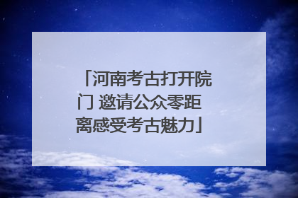 河南考古打开院门 邀请公众零距离感受考古魅力