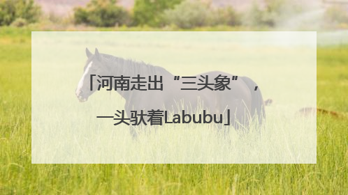 河南走出“三头象”，一头驮着Labubu
