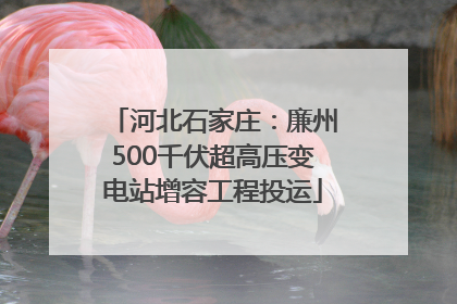 河北石家庄：廉州500千伏超高压变电站增容工程投运