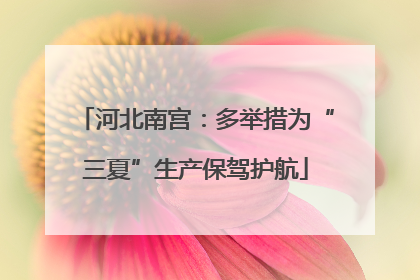 河北南宫：多举措为“三夏”生产保驾护航
