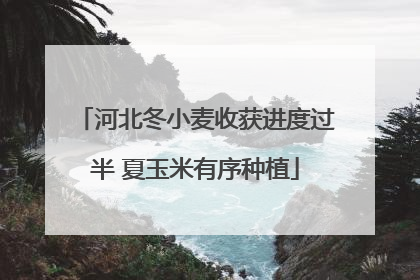 河北冬小麦收获进度过半 夏玉米有序种植