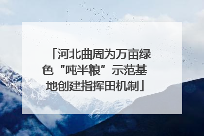 河北曲周为万亩绿色“吨半粮”示范基地创建指挥田机制