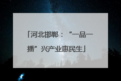 河北邯郸：“一品一播”兴产业惠民生