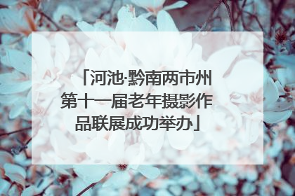 河池·黔南两市州第十一届老年摄影作品联展成功举办