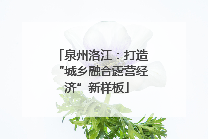 泉州洛江：打造“城乡融合露营经济”新样板
