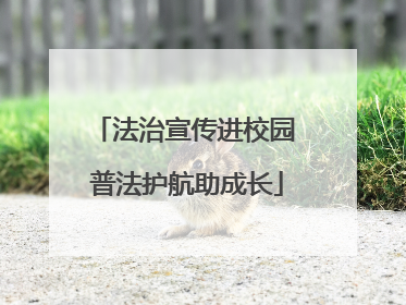 法治宣传进校园 普法护航助成长