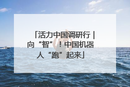 活力中国调研行｜向“智”！中国机器人“跑”起来