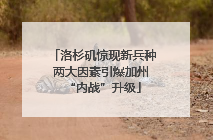 洛杉矶惊现新兵种 两大因素引爆加州“内战”升级