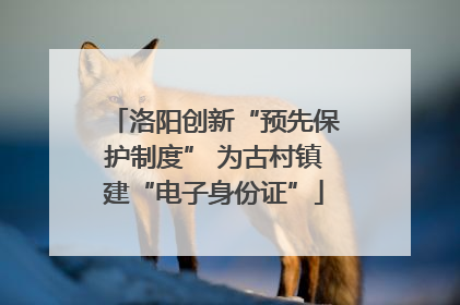 洛阳创新“预先保护制度” 为古村镇建“电子身份证”