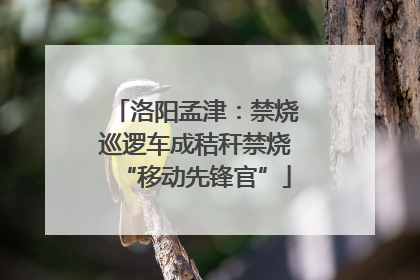 洛阳孟津：禁烧巡逻车成秸秆禁烧“移动先锋官”