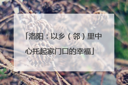 洛阳：以乡（邻）里中心托起家门口的幸福