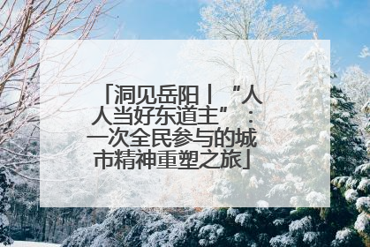 洞见岳阳丨“人人当好东道主”：一次全民参与的城市精神重塑之旅