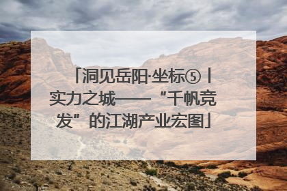 洞见岳阳·坐标⑤丨实力之城——“千帆竞发”的江湖产业宏图