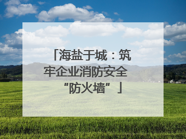 海盐于城：筑牢企业消防安全“防火墙”