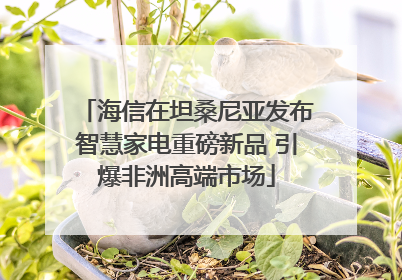 海信在坦桑尼亚发布智慧家电重磅新品 引爆非洲高端市场