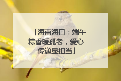 海南海口：端午粽香暖孤老，爱心传递显担当