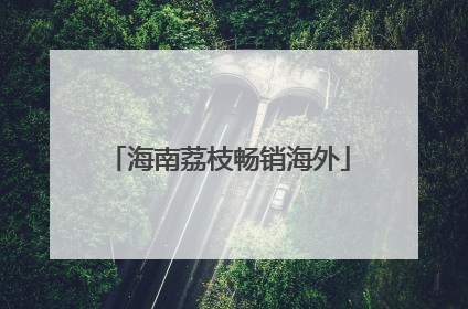 海南荔枝畅销海外