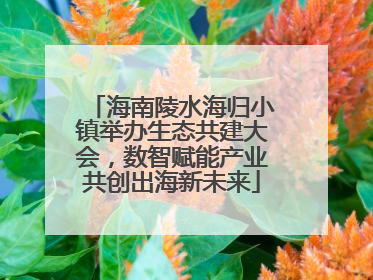 海南陵水海归小镇举办生态共建大会，数智赋能产业共创出海新未来