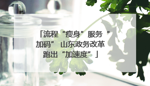 流程“瘦身”服务“加码” 山东政务改革跑出“加速度”