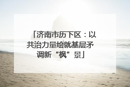 济南市历下区：以共治力量绘就基层矛调新“枫”景