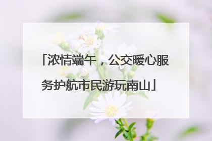 浓情端午，公交暖心服务护航市民游玩南山
