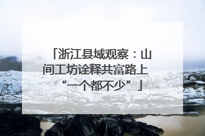浙江县域观察：山间工坊诠释共富路上“一个都不少”
