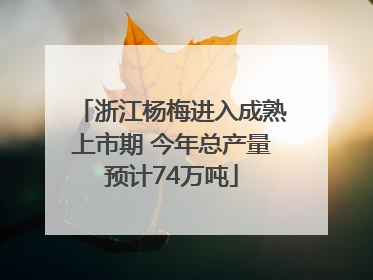 浙江杨梅进入成熟上市期 今年总产量预计74万吨