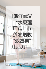 浙江武义：“水果莲”正式上市，莲农增收“致富果”注活力