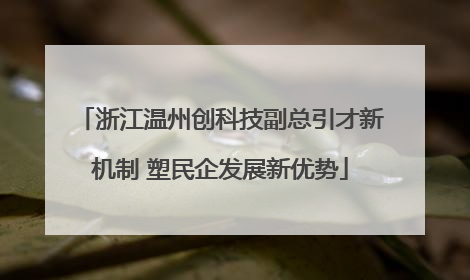 浙江温州创科技副总引才新机制 塑民企发展新优势