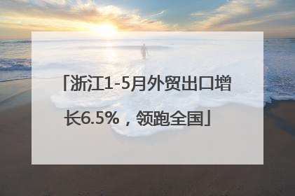 浙江1-5月外贸出口增长6.5%，领跑全国