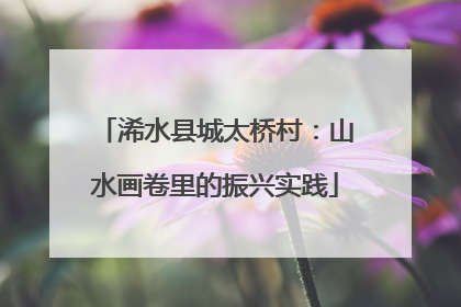 浠水县城太桥村：山水画卷里的振兴实践