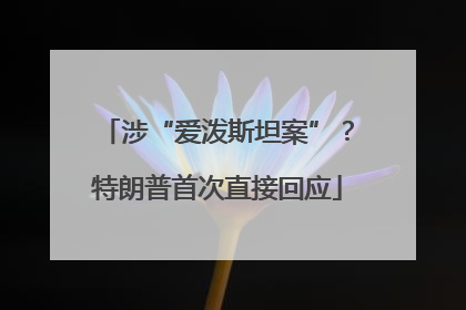 涉“爱泼斯坦案”？特朗普首次直接回应