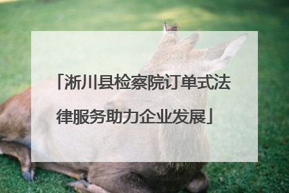 淅川县检察院订单式法律服务助力企业发展