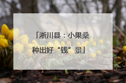 淅川县：小果桑种出好“钱”景