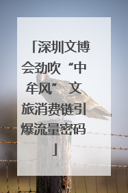 深圳文博会劲吹“中牟风” 文旅消费链引爆流量密码