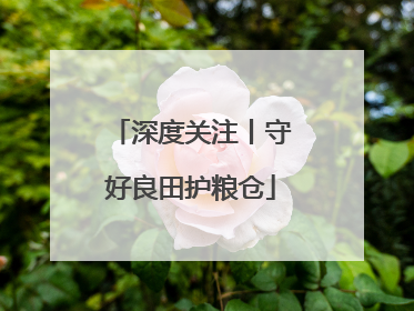 深度关注丨守好良田护粮仓
