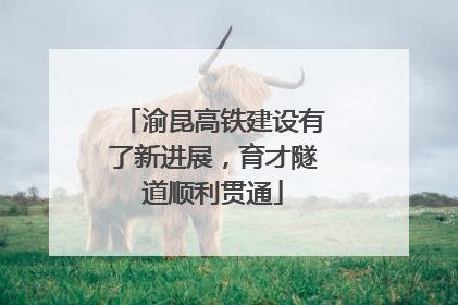 渝昆高铁建设有了新进展，育才隧道顺利贯通