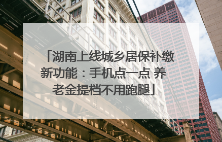 湖南上线城乡居保补缴新功能：手机点一点 养老金提档不用跑腿